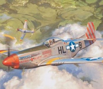 meng_model_1_48_north_american_p-51d_mustang_fighter_ls-006_sincerehobby